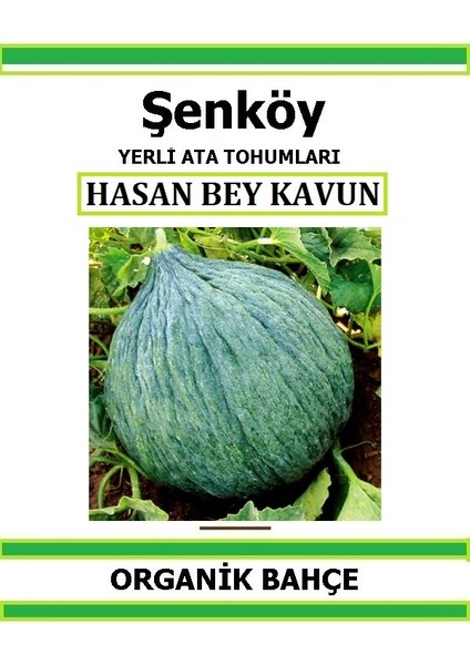 Yerli Hasan Bey Kavun Tohumu Doğal Ata Tohum Pakette 20 Tohum + Hediye Sebze Tohumu