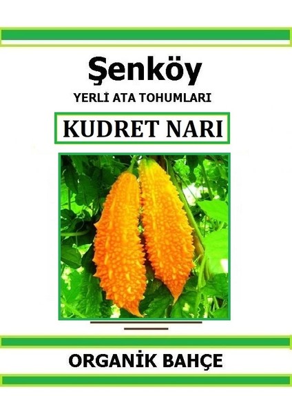 Yerli Kudret Narı Tohumu Doğal Ata Tohum Pakette 10 Tohum + Hediye Sebze Tohumu