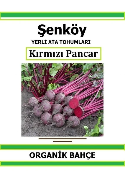 Yerli Kırmızı Pancar Tohumu Doğal Ata Tohum Pakette 200 Tohum + Hediye Sebze Tohumu