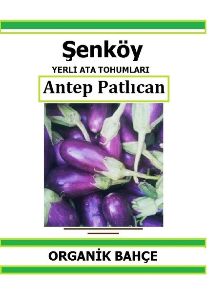 Yerli Antep Mor Patlıcan Tohumu Doğal Ata Tohum Pakette 100 Tohum + Hediye Sebze Tohumu