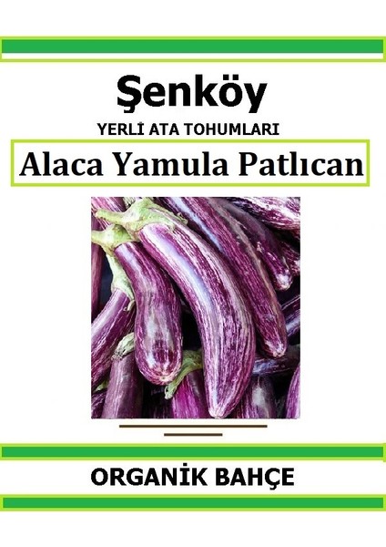 Yerli Yamula Ala Patlıcan Tohumu Doğal Ata Tohum Pakette 20 Tohum + Hediye Sebze Tohumu