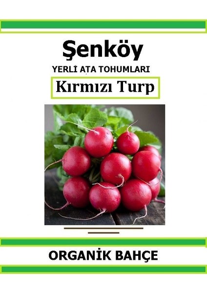 Yerli Kırmızı Turp Tohumu Doğal Ata Tohum Pakette 5 gr 600 Tohum + Hediye Sebze Tohumu