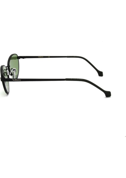 RB 2204 C6 Güneş Bayan Gözlüğü modelleri