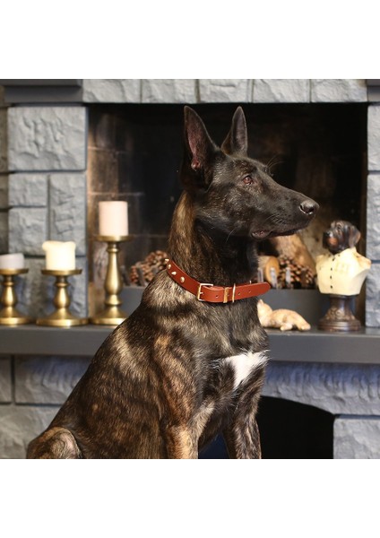 CecePet Ares Handmade Deri Köpek Tasması Siyah M (36-45CM) Cl-Ar-Bl-M