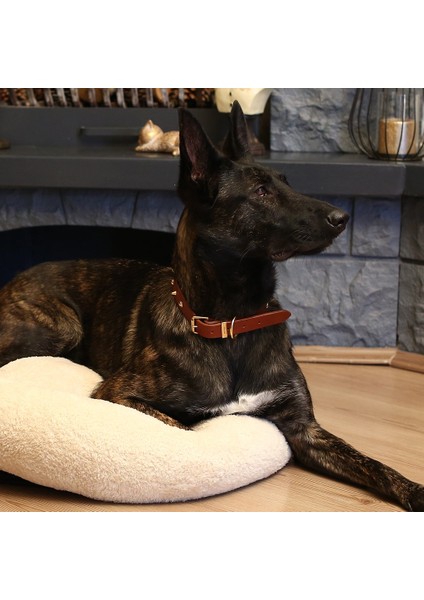 CecePet Ares Handmade Deri Köpek Tasması Siyah M (36-45CM) Cl-Ar-Bl-M