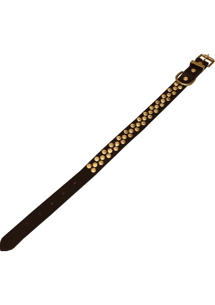 CecePet Aten Handmade Deri Köpek Tasması Siyah L (46-55 Cm) Cl-At-Bl-L