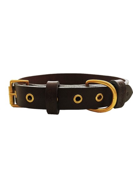 CecePet Tengri Handmade Deri Köpek Tasması Kahverengi M (36-45CM) Cl-Te-Br-M