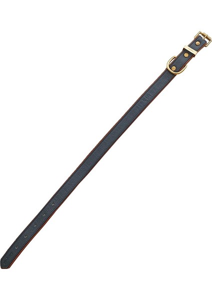 Baldur Handmade Deri Köpek Tasması Mavi M (36-45CM) Cl-Ba-B-M