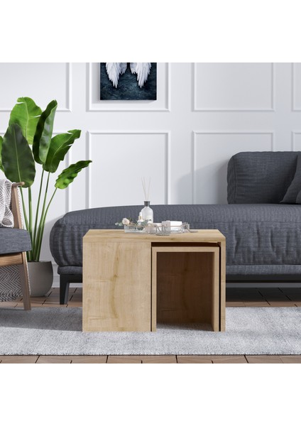 Ortanca Sehpa Safir Meşe fiyatları