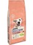 Dog Chow Purina Dog Chow Sensitive Somonlu Yetişkin Köpek Maması 14 kg 1