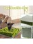 Köpekler Snuffle Mat Köpek Yavrusu Kedi Pet Koklama Eğitim Yumuşak Pet Burun Pad Köpek Yavrusu Etkinlik Eğitim Battaniye Besleme Mat Pet Puzzle Oyuncak | (Yurt Dışından) 4