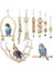 9 Adet / Takım Kuş Papağan Salıncak Oyuncaklar Çiğneme Ayakta Asılı Levrek Hamak Tırmanma Merdiveni Kuş Kafesi Için Budgerigar Parakeet Conure | Kuş Oyuncakları (Yurt Dışından) 1