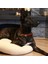 CecePet Ares Handmade Deri Köpek Tasması Siyah M (36-45CM) Cl-Ar-Bl-M 3