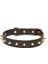 CecePet Thor Handmade Deri Köpek Tasması Kahverengi M (36-45CM) Cl-Th-Br-M 1