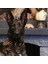 CecePet Thor Handmade Deri Köpek Tasması Kahverengi M (36-45CM) Cl-Th-Br-M 3