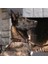 CecePet Thor Handmade Deri Köpek Tasması Kahverengi M (36-45CM) Cl-Th-Br-M 4