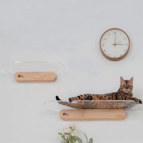 Modern Şeffaf Kedi Duvar RafıKedi Atlama Fiyatı Modern Şeffaf Kedi Duvar RafıKedi Atlama Fiyatı