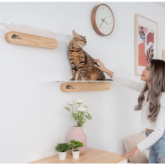 Modern Şeffaf Kedi Duvar RafıKedi Atlama Fiyatı Modern Şeffaf Kedi Duvar RafıKedi Atlama Fiyatı