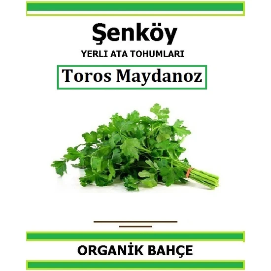 Şenköy Yerli Toros Maydanoz Tohumu Doğal Ata Tohum Pakette 5 gr Tohum + Hediye Sebze Tohumu Şenköy Yerli Toros Maydanoz Tohumu Doğal Ata Tohum Pakette 5 gr Tohum + Hediye Sebze Tohumu