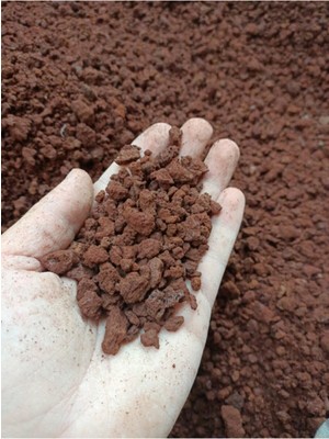 Emin Kaktüs Lav Taşı / Lav Kırığı / Curuf / 4-8 mm / 4 Litre