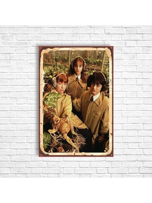 Trend Poster Harry Potter Retro Ahşap Poster