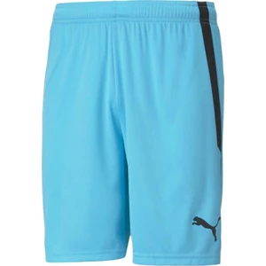 Teamliga Shorts Erkek Futbol Şortu 70492440 Mavi