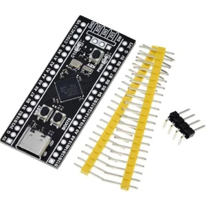 STM32F401CCU6 Arm STM32 Geliştirme Kartı