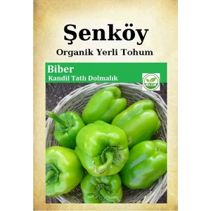 Yerli Kandil Dolmalık Biber Tohumu Doğal Ata Dolmalık Biber Tohumu Pakette 5 gr 750 Tohum