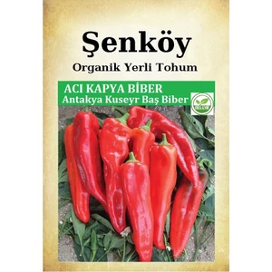 Yerli Acı Kapya Biber Tohumu Doğal Ata Salçalık Kapya Biber Tohumu Pakette 10 gr 1500 Adet