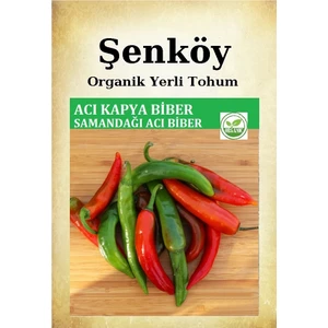 Yerli Çok Acı Biber Tohumu Doğal Ata Samandağı  Kapya Biber Tohumu Pakette 10 gr 1500 Ad.