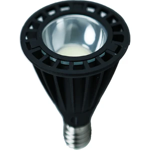 16W 220-240V 1200LM 6500K E27 PAR38 LED Ampul
