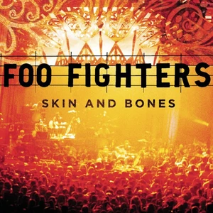 Foo Fighters  / Skin And Bones (2lp) (Plak)