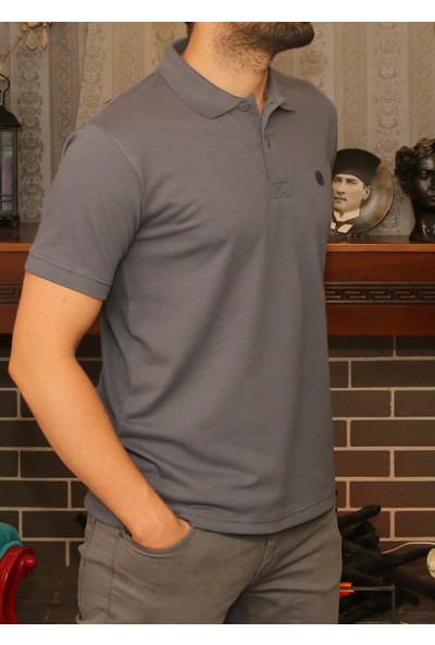 Arbour Füme Polo Yaka Erkek T-Shirt