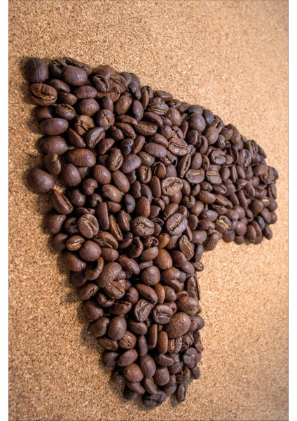 Dijital Baskılı Kaymaz Taban Yıkanabilir Kahve Baskılı Mutfak Halısı NHM-SD-179 fiyatları