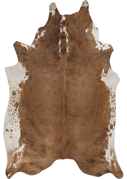 Dijital Baskılı Kaymaz Taban Yıkanabilir Lazer Kesim Salon Halısı ve Yolluk Nh-Lzr-Sd-71 fiyatları