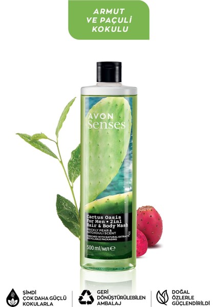 Senses Frambuaz Frenk Üzümü Bambu Yaprağı Misk Armut Paçuli ve Ravent Orman Kokulu Duş Jeli Paketi 4 x 500 Ml.