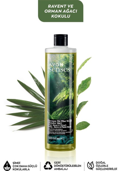 Senses Frambuaz Frenk Üzümü Bambu Yaprağı Misk Armut Paçuli ve Ravent Orman Kokulu Duş Jeli Paketi 4 x 500 Ml.