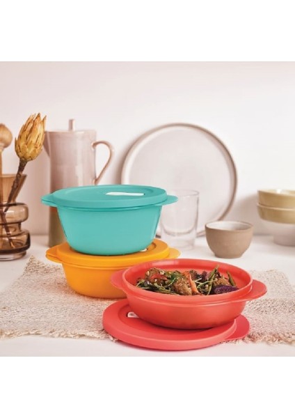 Mikro Kaplar Set 1-1.5-2 Lt Mikrodalga Fırın Için Tkaz Hsgl