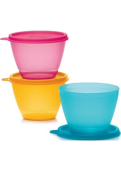 Buzdolabı Kapları Renkli 3X400 ml Mama Saklama Kabı Hsgl