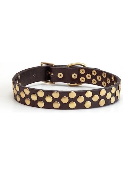 Aten Handmade Deri Köpek Tasması Kahverengi M (36-45CM) Cl-At-Br-M