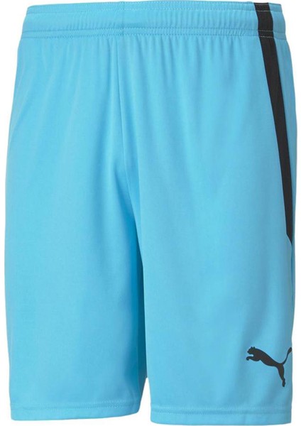 Teamliga Shorts Erkek Futbol Şortu 70492440 Mavi