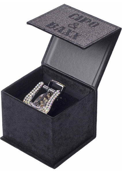 CG208 Cb Premium Silver Kemer fırsatları