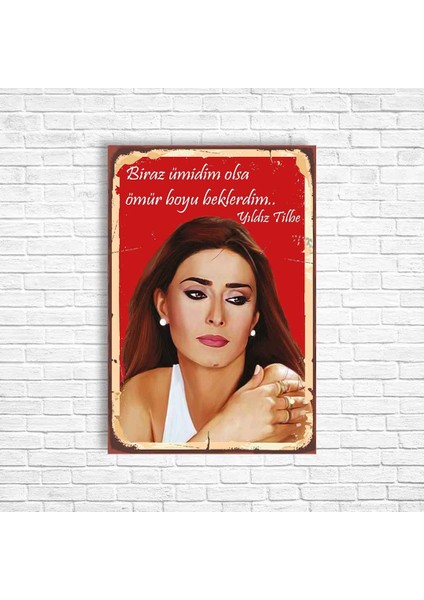 Yıldız Tilbe Retro Ahşap Poster