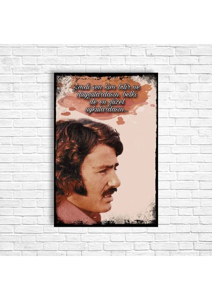 Ferdi Tayfur Retro Ahşap Poster