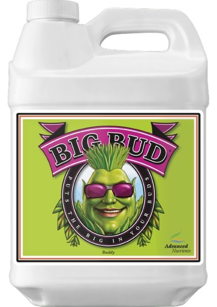 Advanced Nutrients Big Bud 250 ml