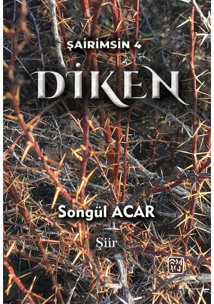 Diken - Songül Acar