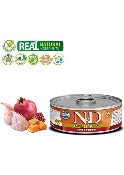 Nd Balkabaklı Tahılsız Bıldırcın Etli Yetişkin Kedi Konservesi 80 gr