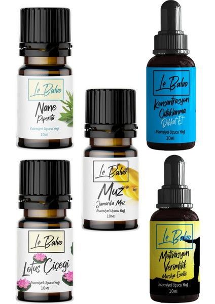 Nane,muz,lotus,motivasyon,odaklanma Buhurdanlık Esansı Oda Koku Esans Buhur Yağ 10 ml