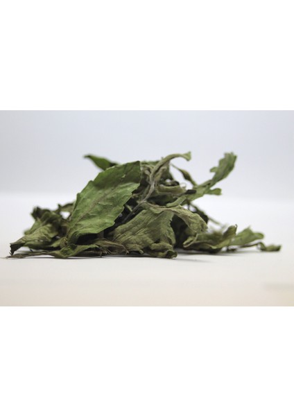 Şeker Otu 100 Gr.