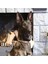 Aten Handmade Deri Köpek Tasması Kahverengi M (36-45CM) Cl-At-Br-M 3